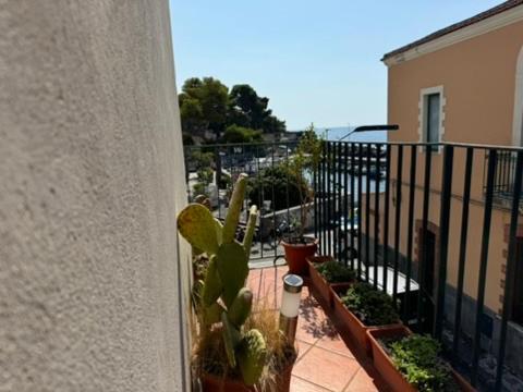 Swim Apartment Fronte Mare Катания Екстериор снимка